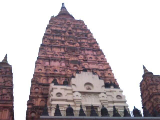 画像を等倍で表示します 画像